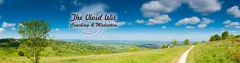Logo The Vivid Wit Coaching & Mediation Vanya Weiss