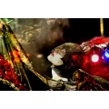 Theater Feuervogel GbR Schuld
