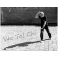 Theo Ramrath 5Bambushalle Unterricht f&uuml;r traditionelles Wu Tai Chi Chuan Neuss