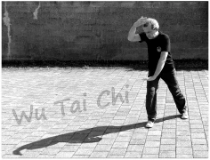 Theo Ramrath 5Bambushalle Unterricht für traditionelles Wu Tai Chi Chuan Neuss