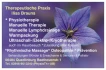 Logo Therapeutische Praxis Ilisa Brauns