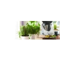 Logo Friedrichsen, Marco u. Kerstin