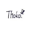 Logo Thoko Hut