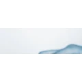 Logo Bl&uuml;mer, Thomas