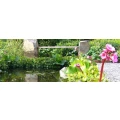 Logo Thomas Freise Garten- und Landschaftsbau