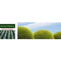 Logo Gartenbau Thomas Hettinger Gartenbaumschule Neckarhausen