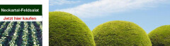 Logo Thomas Hettinger - Gartenbau Gartenbau
