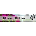 Logo M&uuml;ller, Thomas