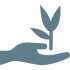 Logo Thomas Schütz Heilpraktiker für Chiropraktik