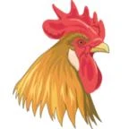 Logo Thomas Weber Eierhandlung