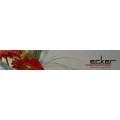 Logo Ecker, Thorsten