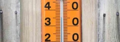 Logo Th&uuml;ringische Sommerakademie e.V.