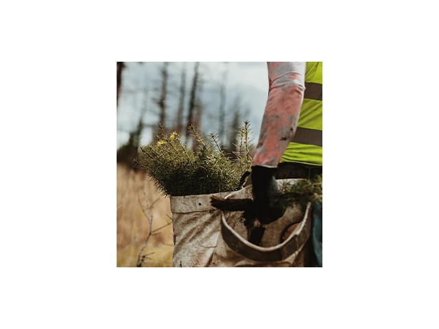 Thuja Welt Stadelmann Nrnberg | Mai 2026 aktualisiert