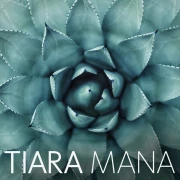 Tiara Mana | Massage | Detox | Stressbewältigung | Körper- und Bewusstseinsarbeit Stuttgart