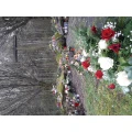 Tiefbauamt S&uuml;dfriedhof Saas Bayreuth