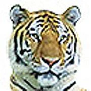 Logo Tier- und Freizeitpark Thüle GmbH
