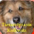 Logo Tier&auml;rztliche Gemeinschaftspraxis Kolkwitz Dr. Claudia Schubert und Dr. Gudrun Schwieg