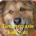 Logo Tierärztliche Gemeinschaftspraxis Kolkwitz Dr. Claudia Schubert und Dr. Gudrun Schwieg