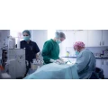 Logo Tier&auml;rztliche Klinik f&uuml;r Kleintiere Dr. med.vet. Uwe Dlouhy