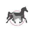 Logo Borsuck, Petra Dr.med.vet.