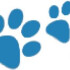 Logo Tierarzt Wilmering Neuss, Kleintierpraxis Kaarster Straße