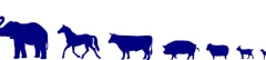 Logo Tierarztpraxis Amendingen