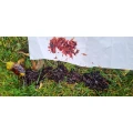 Tierarztpraxis Biedermann Bad Berleburg