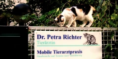 Tierarztpraxis Dr. Petra Richter Berlin