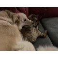 Tierarztpraxis dr.vet. Susanne Zorn Wehr