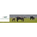 Logo Tierarztpraxis für Pferde Eyendorf