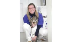 Tierarztpraxis Großtiere Rüdiger Mauhs Coswig