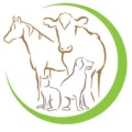 Tierarztpraxis Reichling f&uuml;r Kleintiere & Gro&szlig;tiere in Weeze Fachtierarzt f&uuml;r Rinder 24-Stunden NOTDIENST Weeze
