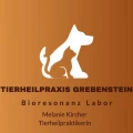 Tierheilpraxis Grebenstein Melanie Kircher Grebenstein