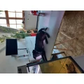 Tierheim Verlorenwasser Bad Belzig