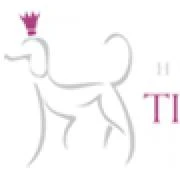 Logo Tierisch schön Hundesalon