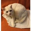 Tierklinik Ismaning Ismaning