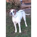Tierpension Angelika's Tierparadies Bad Oeynhausen