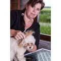 Logo Tiersalon Wolters