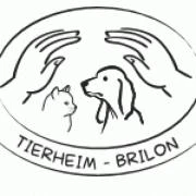 Logo Tierschutzheim-Hochsauerland in Brilon