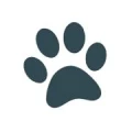 Logo Tierschutzverein Husum u. Umgebung e.V.