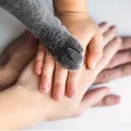 Tierschutzverein Main-Spessart e.V. Lohr