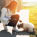 Tierschutzverein Nienburg und Umgebung e.V. Tierheim Husum, Kreis Nienburg