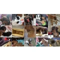 Tierschutzverein und Tierrettungsdienst Animal-Aid e.V. Steinh&ouml;fel