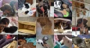 Logo Tierschutzverein und Tierrettungsdienst Animal-Aid e.V.