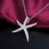 Logo Tiershop XXL Dr. h.c. Stefanie Liebscher