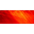 Logo Praxis f&uuml;r Physiotherapie Raphaela Wilke