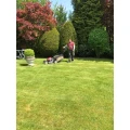Tip Top Gartenpflege Kiel