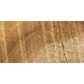 Logo Tischlerei Ludwig Logemann