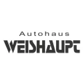 Logo Fiat, Weishaupt