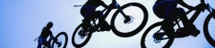 Logo Torino A.